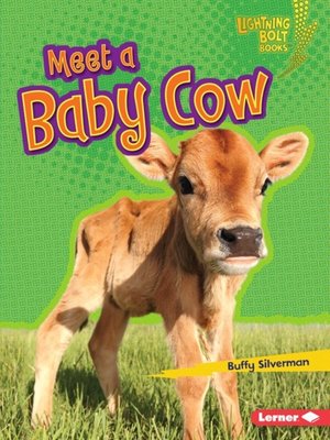 cover image of Meet a Baby Cow